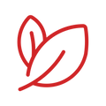 L-Theanine